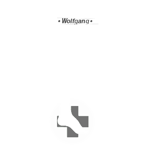 Weißes Logo der Orthopaedie-Schuhtechnik Wolfgang Staneker